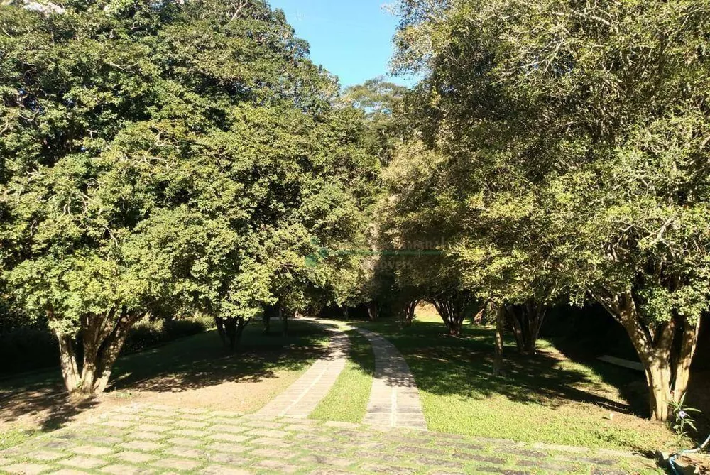 Casa, 4 quartos, 350 m² - Foto 30