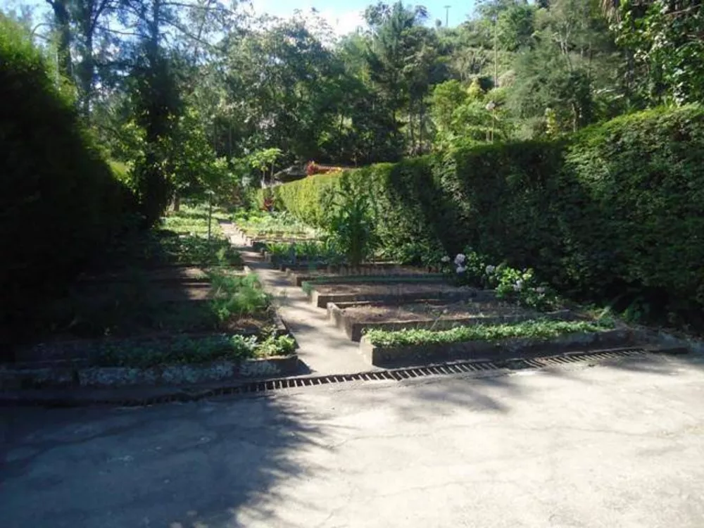 Casa, 3 quartos, 700 m² - Foto 36