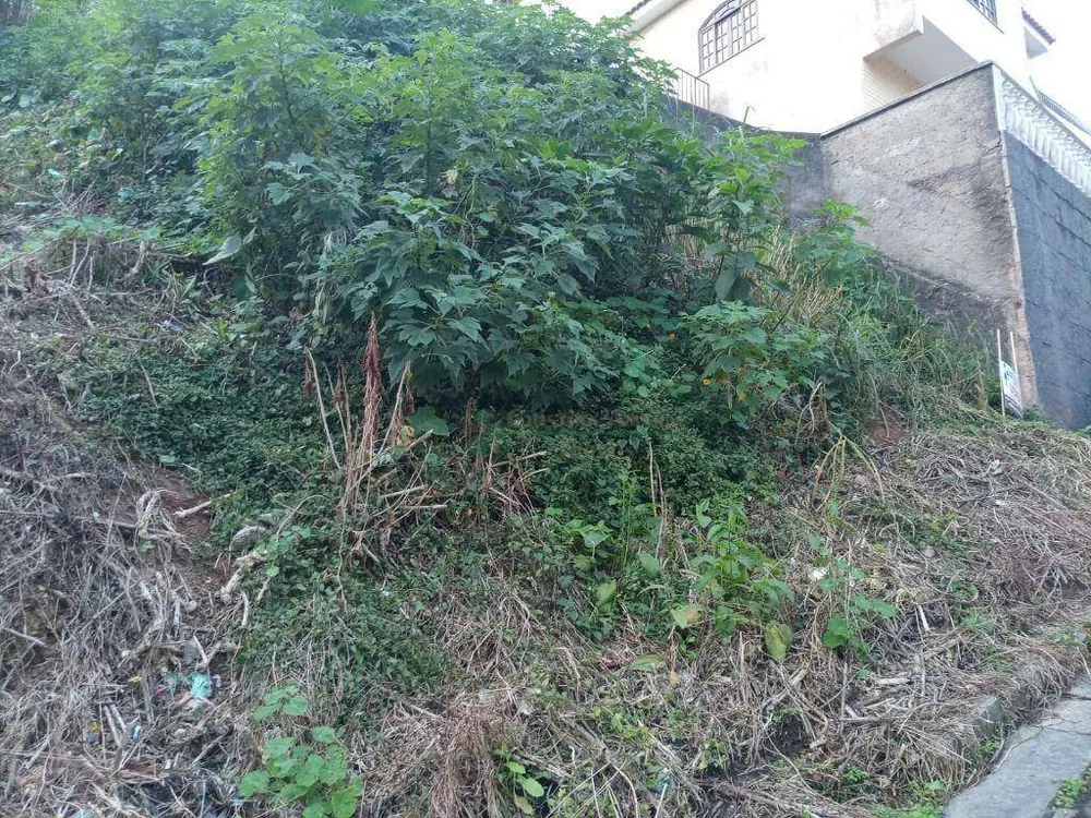 Terreno, 310 m² - Foto 6