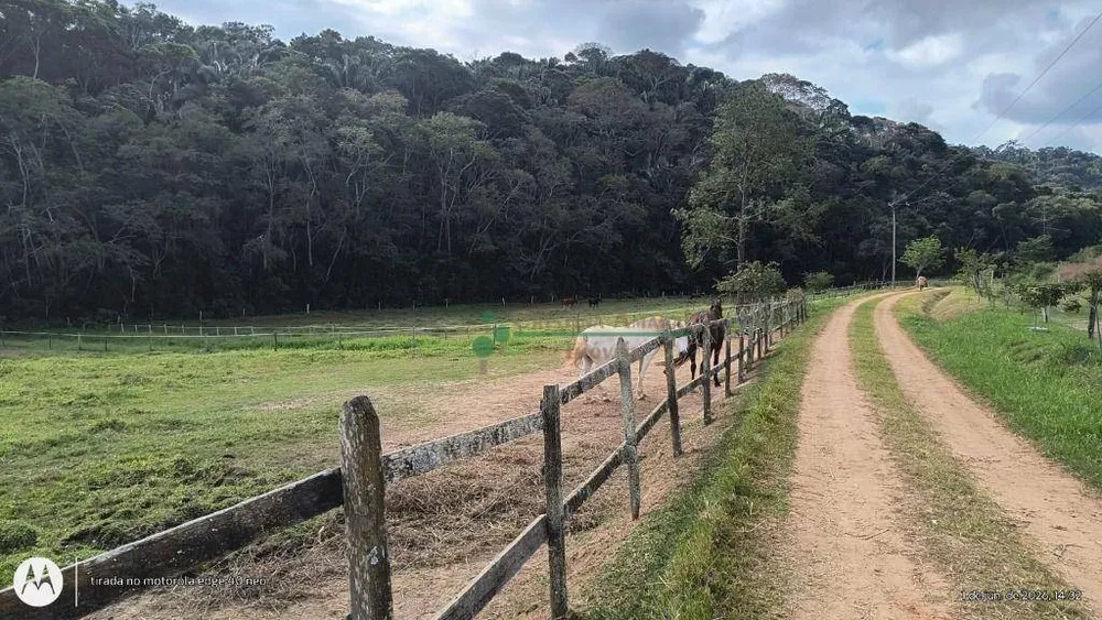 Fazenda, 97 hectares - Foto 27