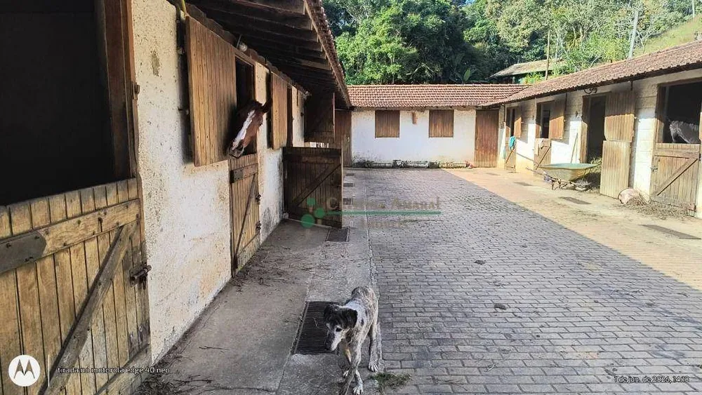 Fazenda, 97 hectares - Foto 28