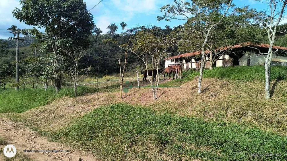 Fazenda, 97 hectares - Foto 19