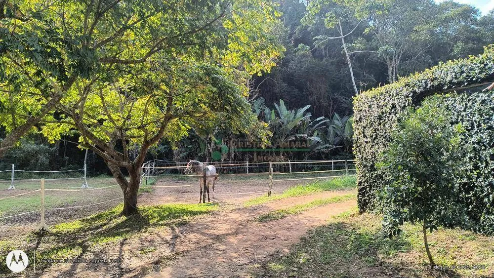 Fazenda, 97 hectares - Foto 38