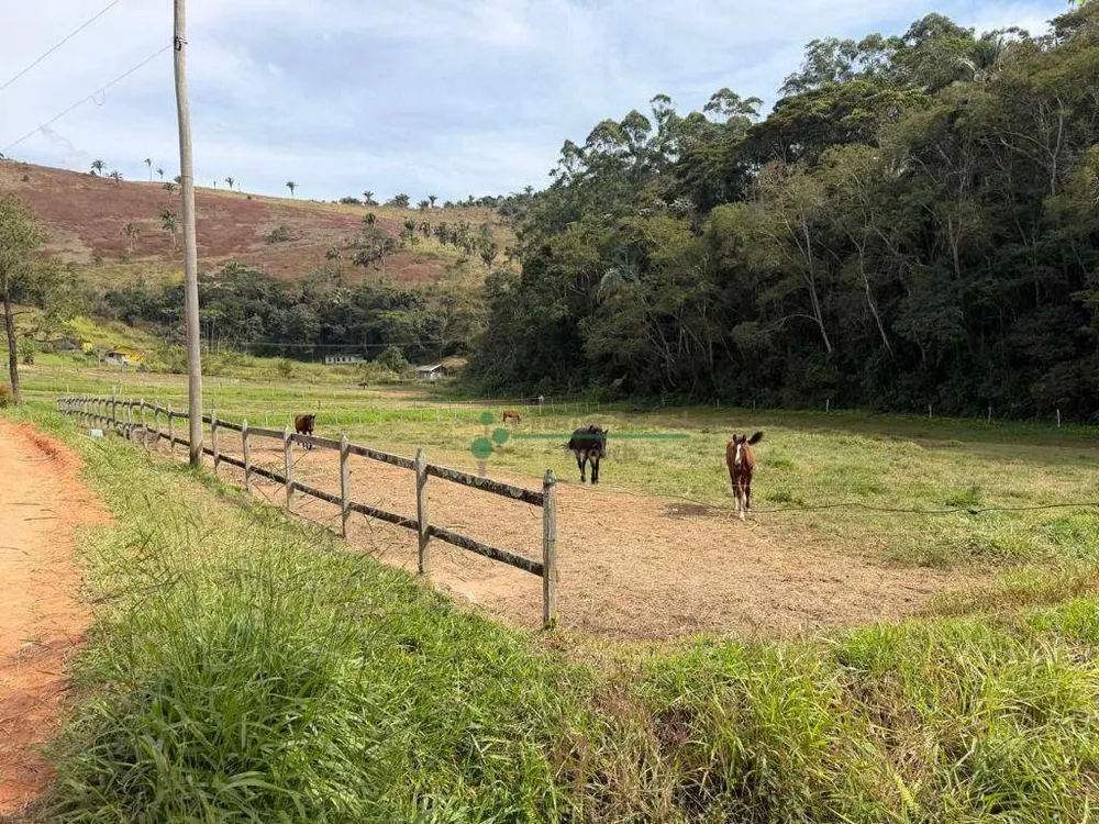 Fazenda, 97 hectares - Foto 37