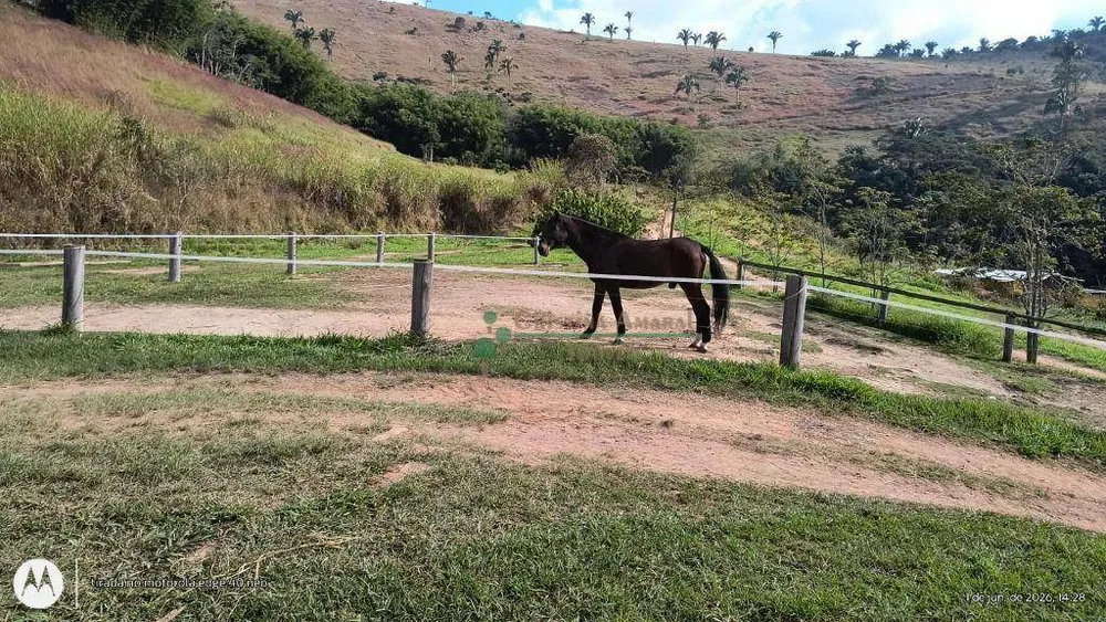 Fazenda, 97 hectares - Foto 21