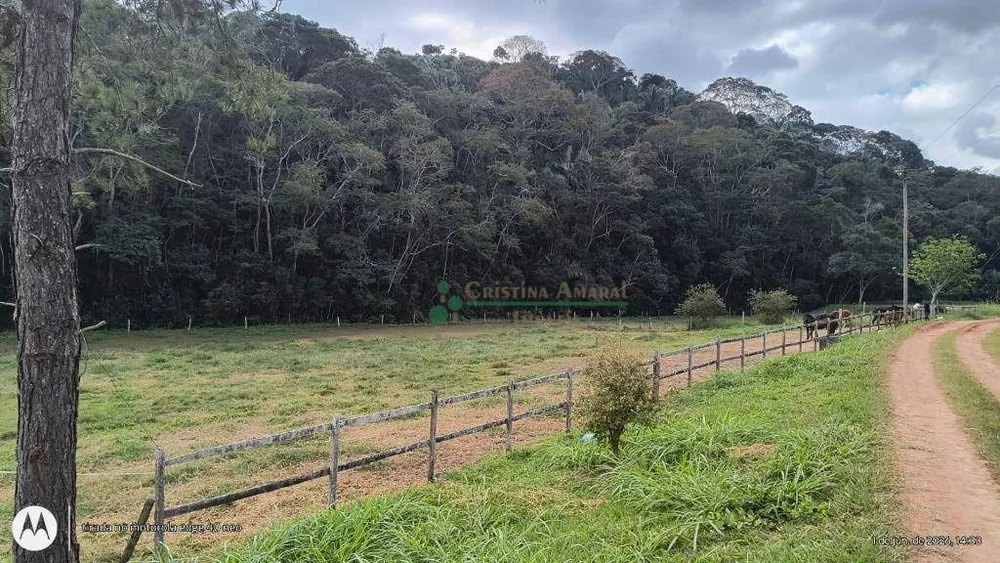Fazenda, 97 hectares - Foto 40