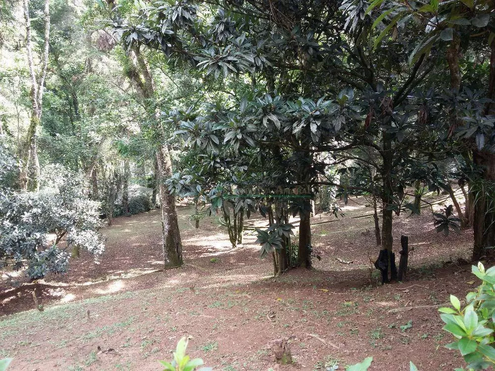 Casa, 7 quartos, 517 m² - Foto 12