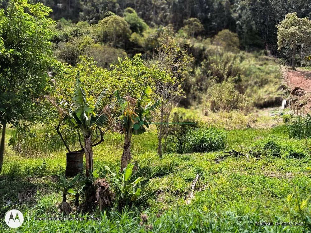 Terreno, 3 hectares - Foto 16