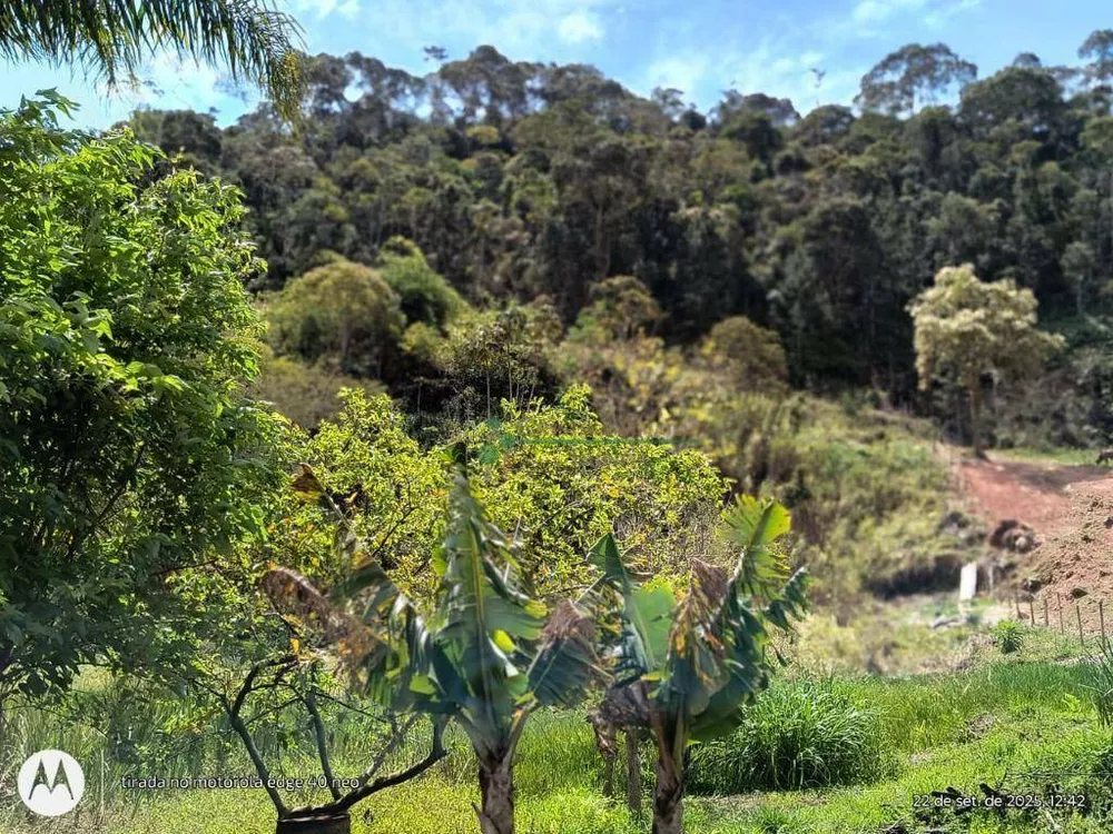 Terreno, 3 hectares - Foto 4