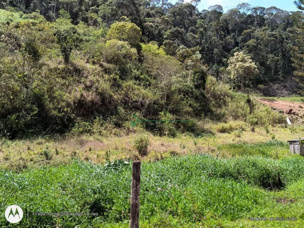 Terreno, 3 hectares - Foto 9