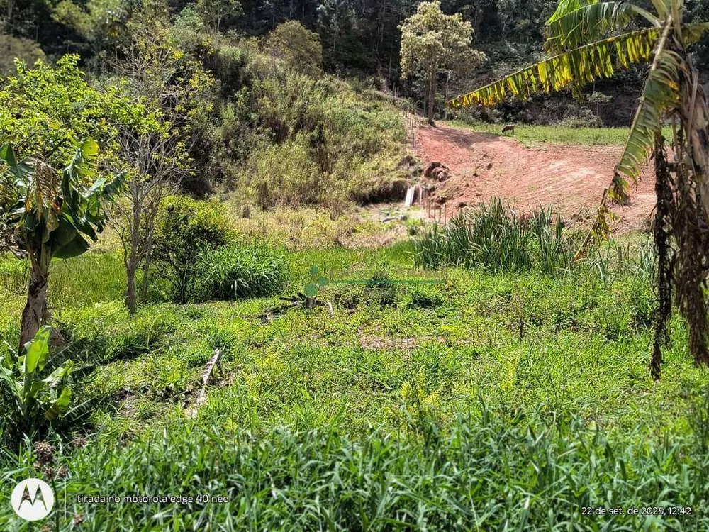 Terreno, 3 hectares - Foto 6