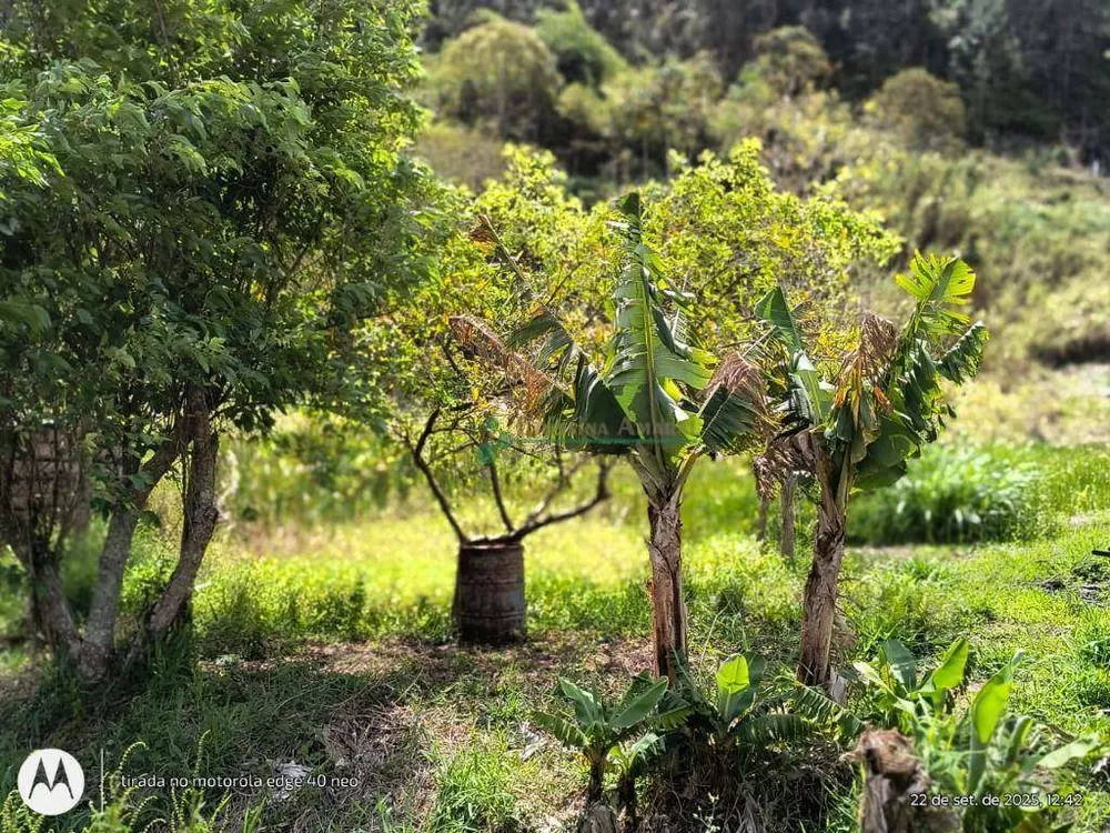 Terreno, 3 hectares - Foto 8