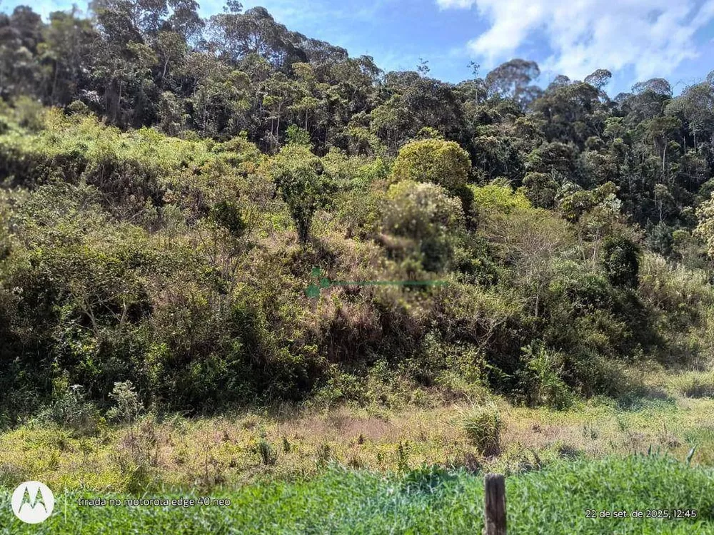 Terreno, 3 hectares - Foto 11