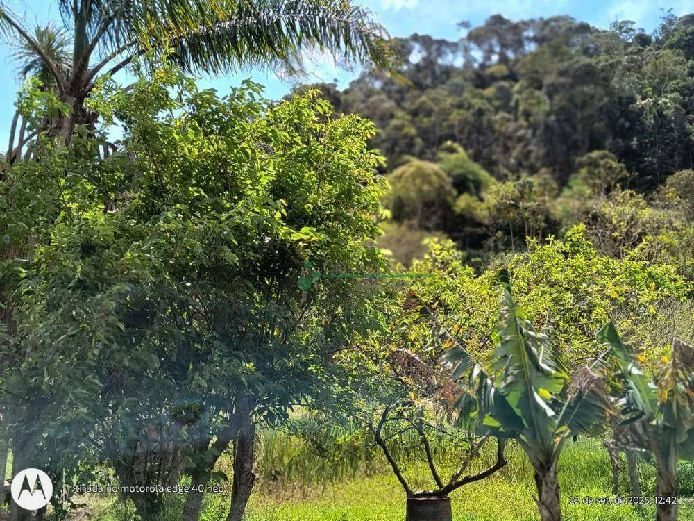 Terreno, 3 hectares - Foto 7