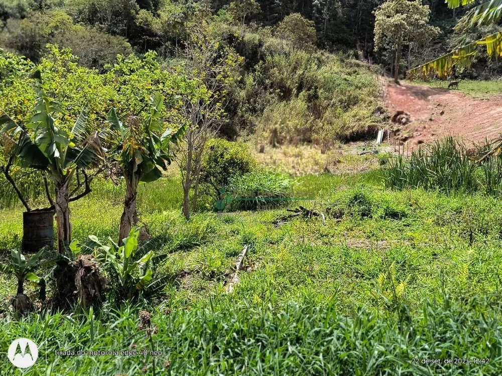 Terreno, 3 hectares - Foto 13