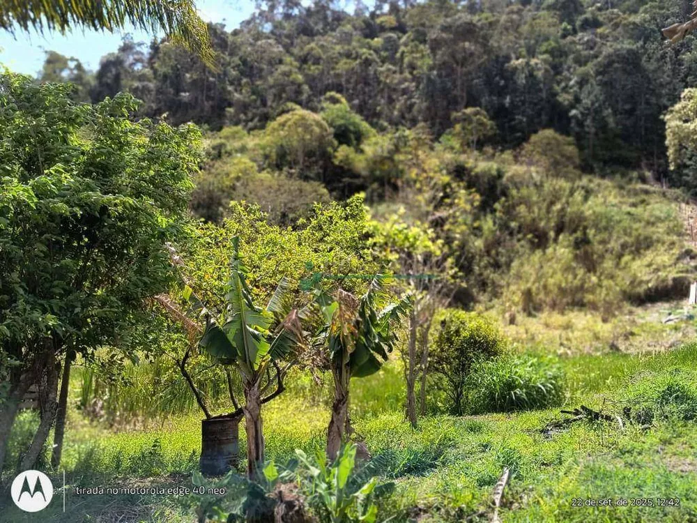 Terreno, 3 hectares - Foto 3