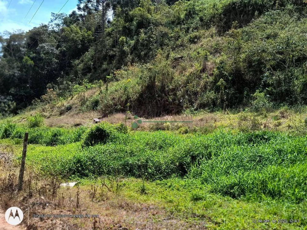 Terreno, 3 hectares - Foto 12