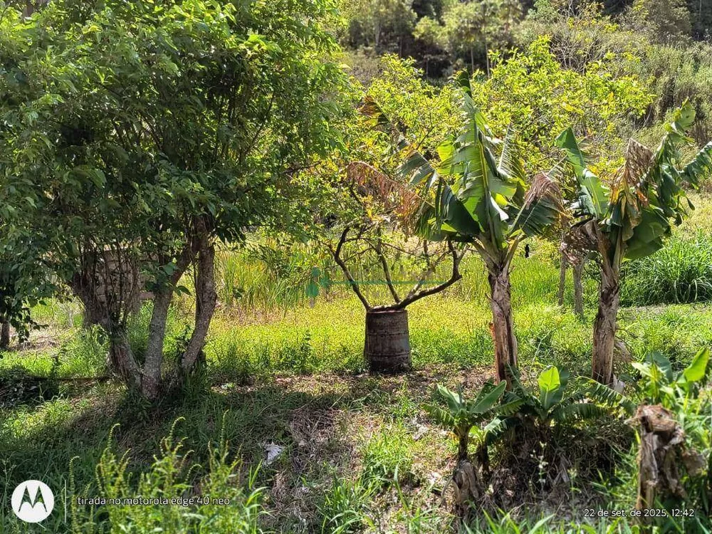 Terreno, 3 hectares - Foto 5