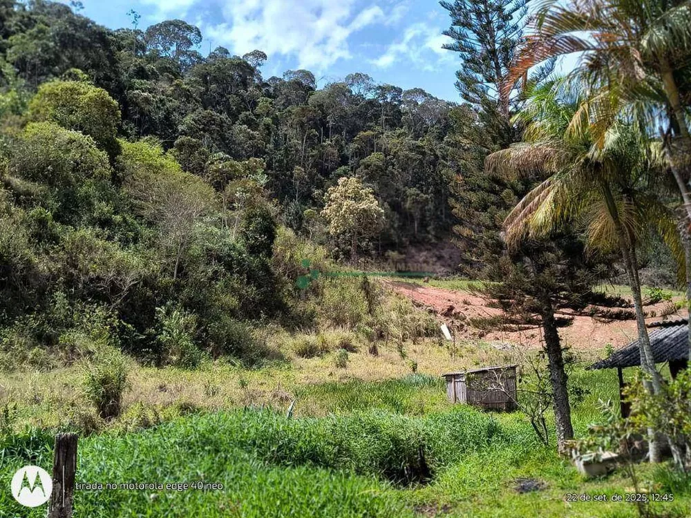 Terreno, 3 hectares - Foto 14