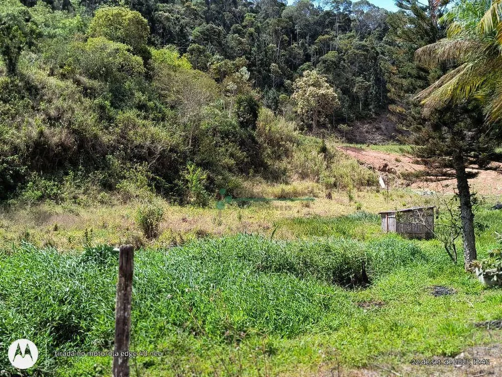 Terreno, 3 hectares - Foto 10