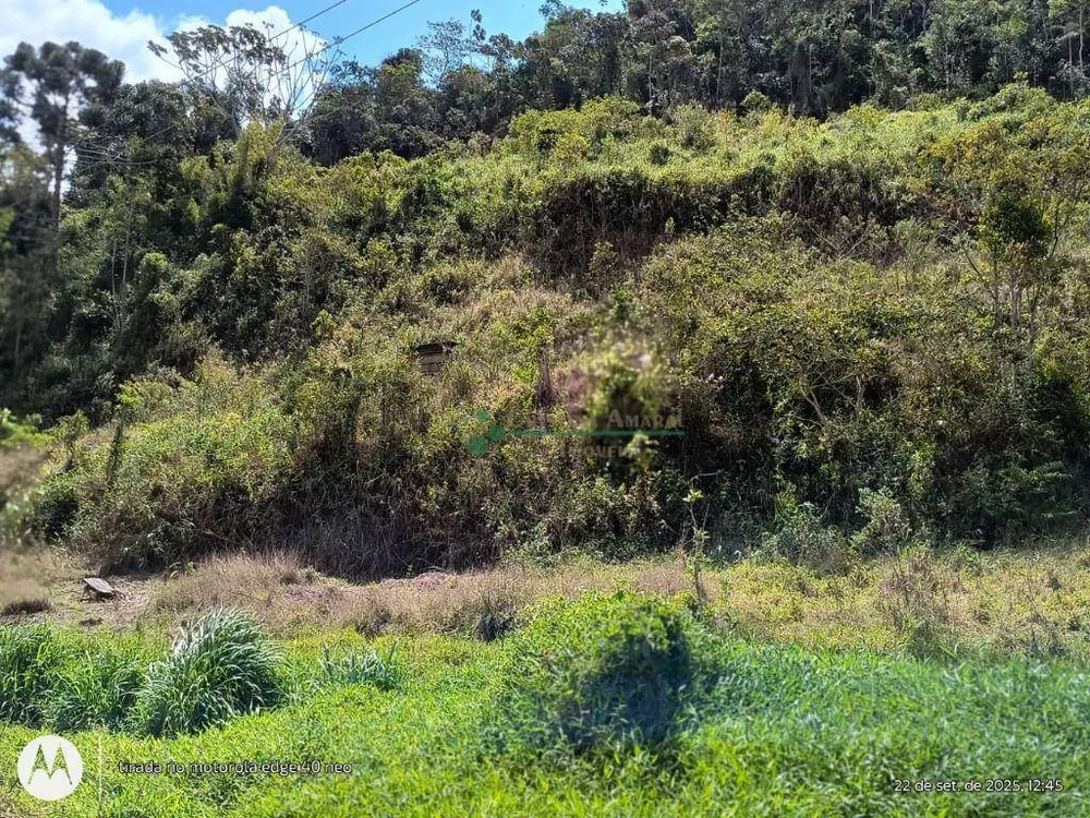 Terreno, 3 hectares - Foto 15