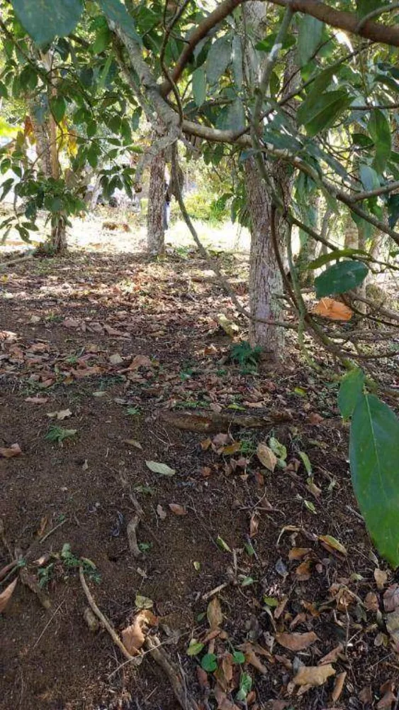 Loteamento e Condomínio, 355 m² - Foto 3