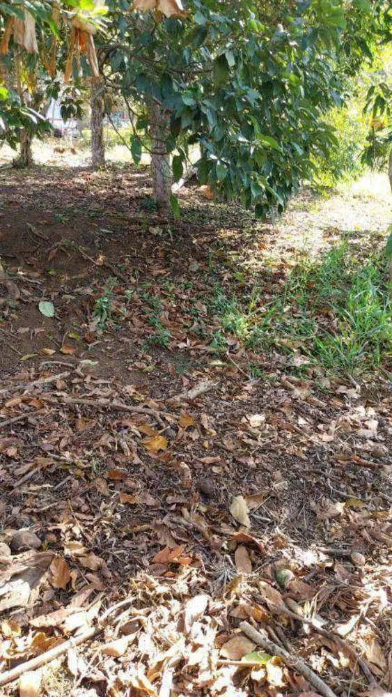 Loteamento e Condomínio, 355 m² - Foto 11