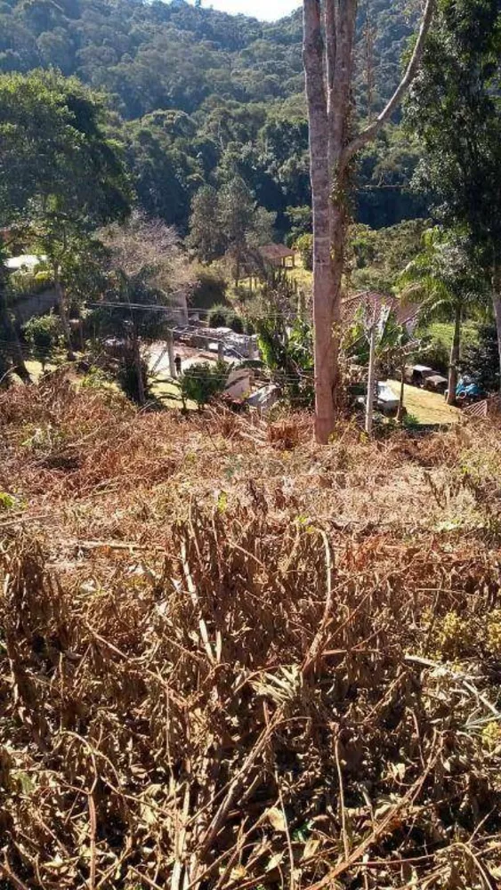 Loteamento e Condomínio, 520 m² - Foto 6