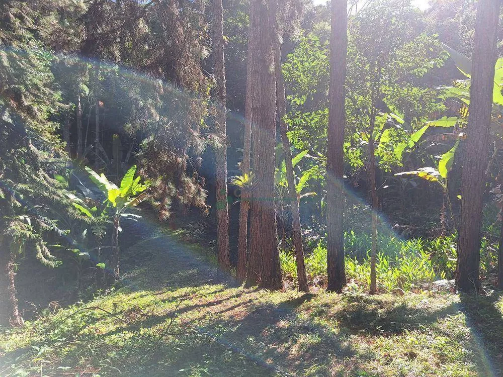 Terreno à venda, 15000M2 - Foto 3