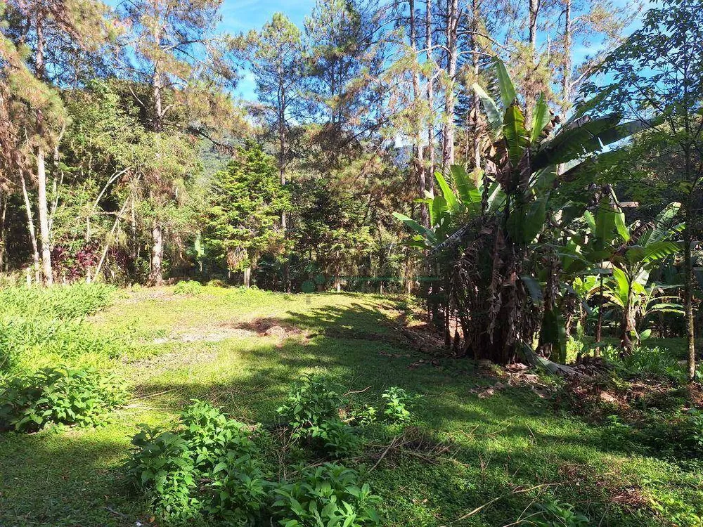 Terreno à venda, 15000M2 - Foto 4