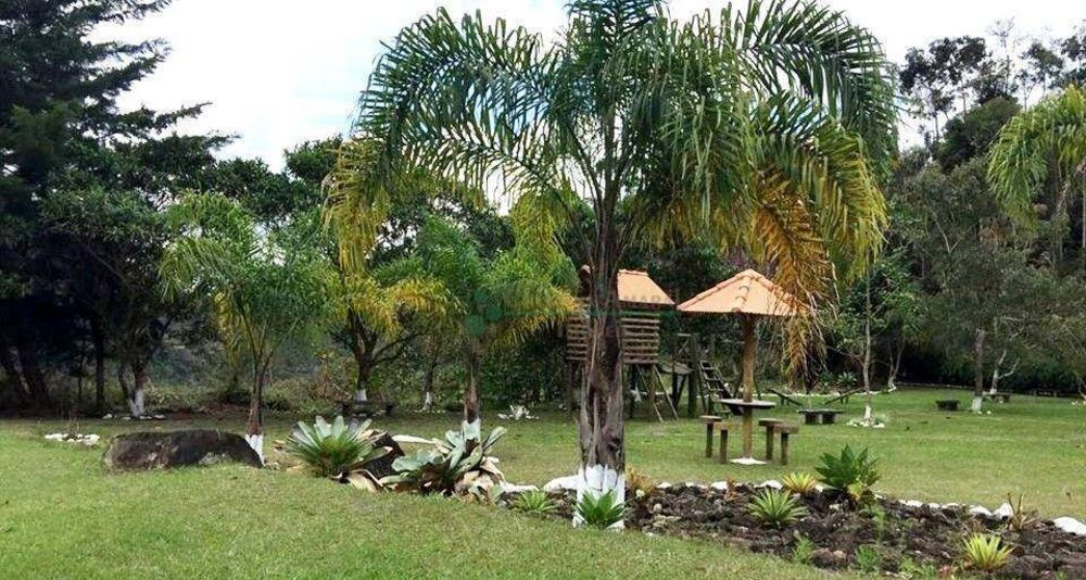 Terreno, 2000 m² - Foto 7