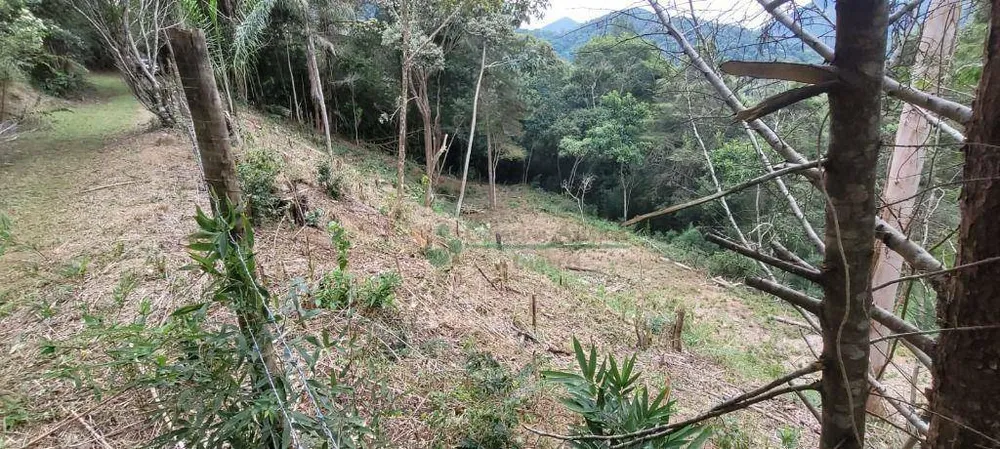 Loteamento e Condomínio, 1750 m² - Foto 3