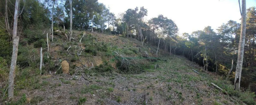 Loteamento e Condomínio, 1750 m² - Foto 9