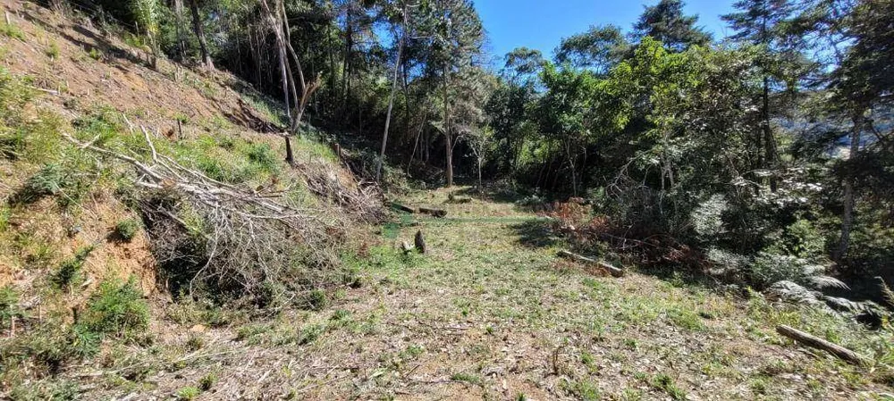 Loteamento e Condomínio, 1750 m² - Foto 11
