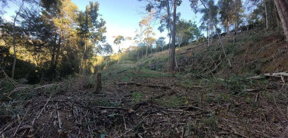 Loteamento e Condomínio, 1750 m² - Foto 6