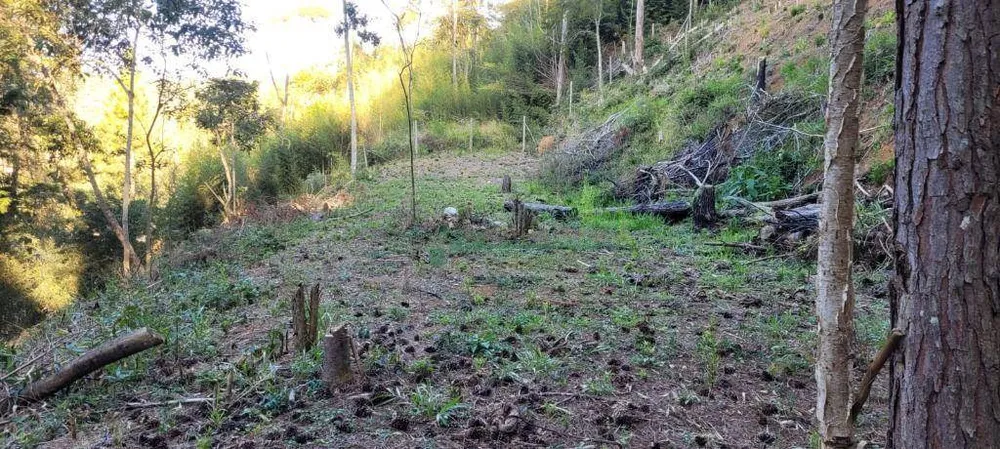 Loteamento e Condomínio, 1750 m² - Foto 5