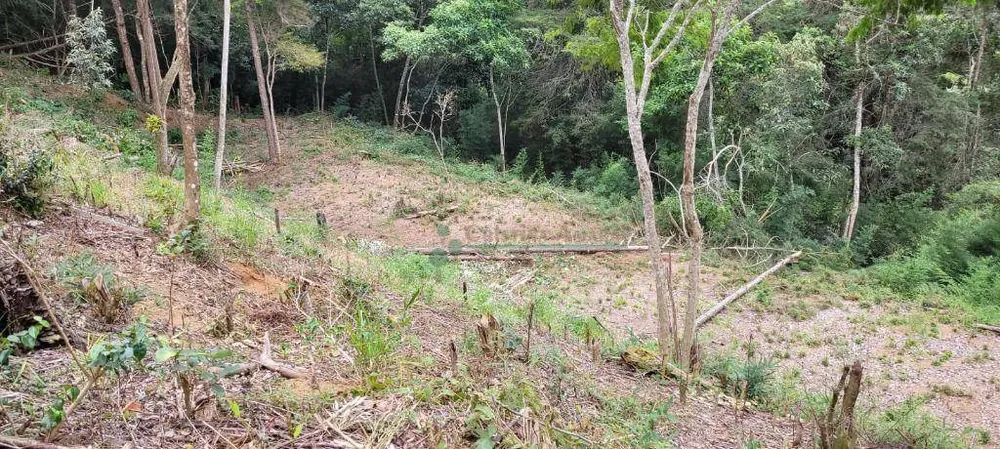 Loteamento e Condomínio, 1750 m² - Foto 4