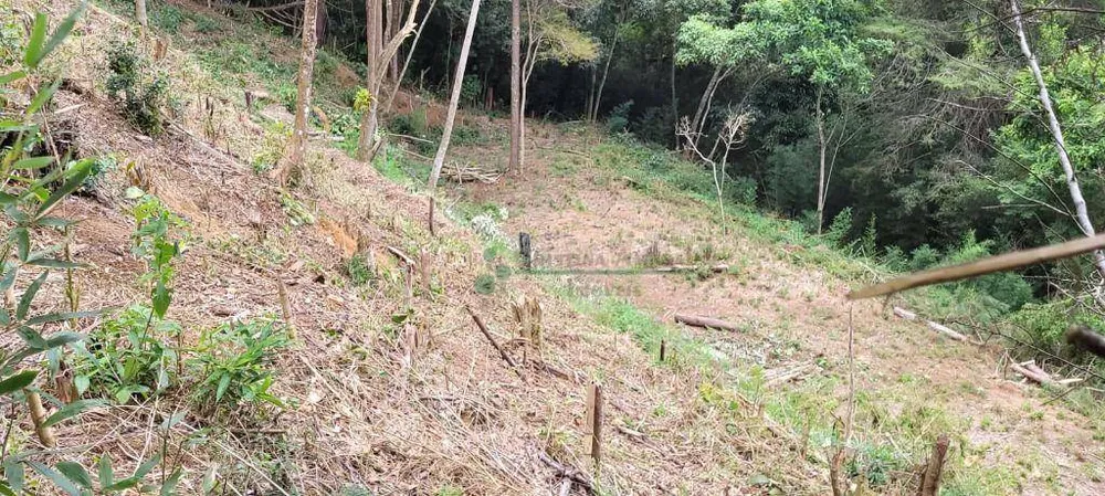 Loteamento e Condomínio, 1750 m² - Foto 10