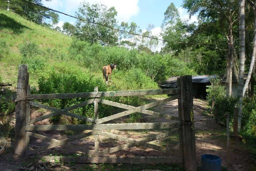 Sítio, 3 quartos, 21 hectares - Foto 60