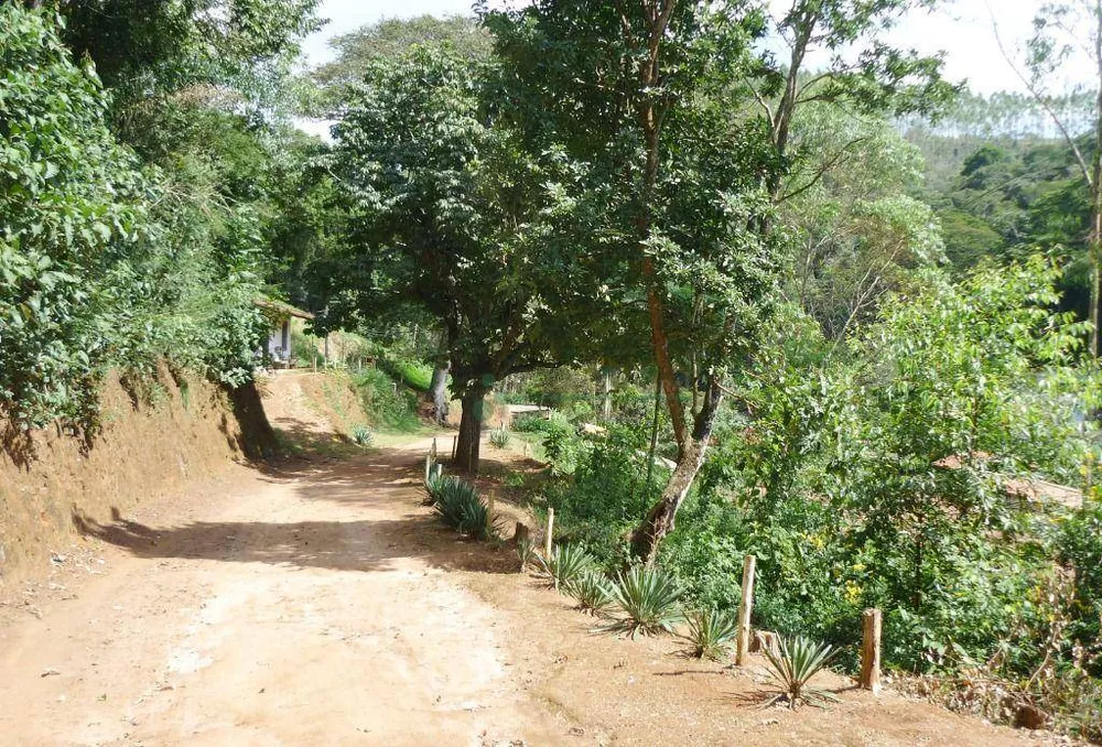 Sítio, 3 quartos, 21 hectares - Foto 13