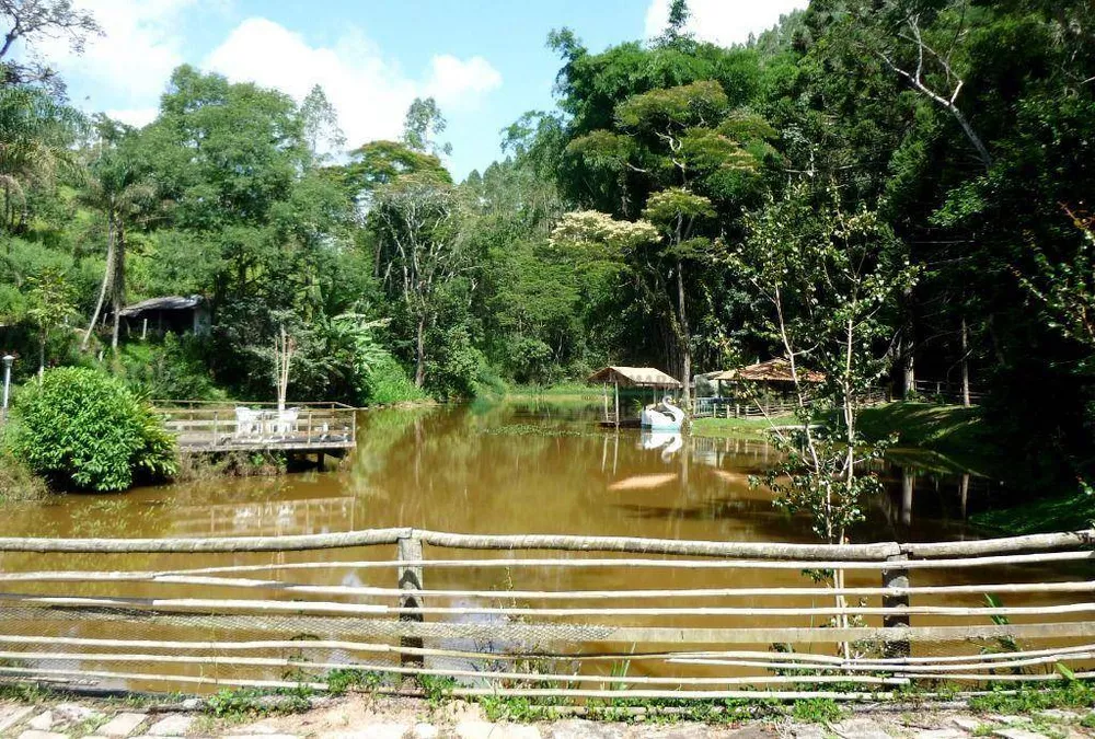 Sítio, 3 quartos, 21 hectares - Foto 35