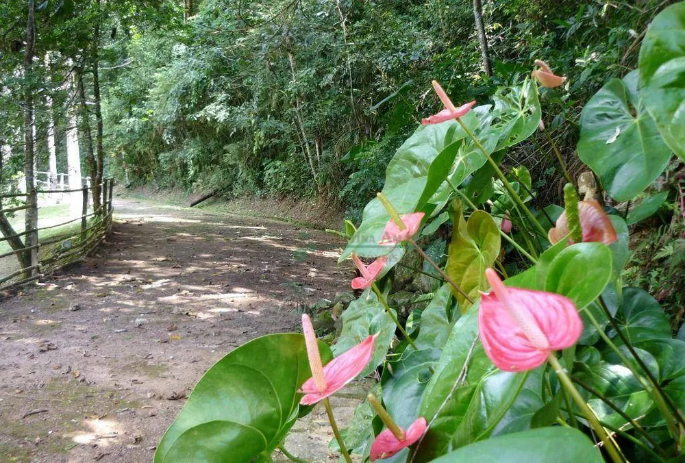 Sítio, 3 quartos, 21 hectares - Foto 48