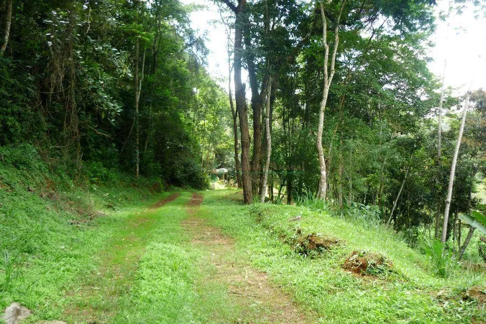 Sítio, 3 quartos, 21 hectares - Foto 28