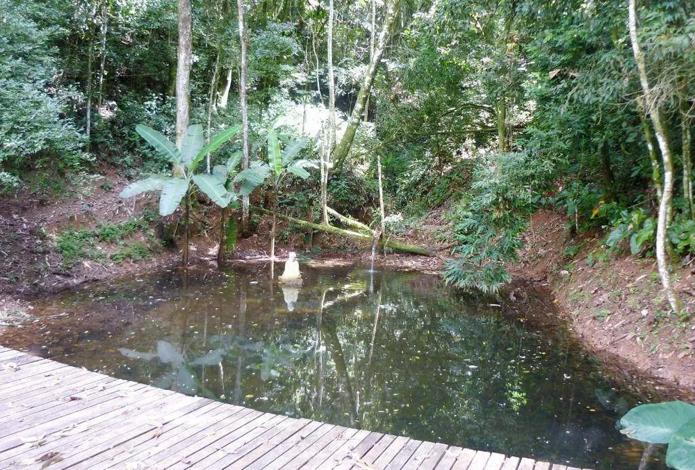 Sítio, 3 quartos, 21 hectares - Foto 37