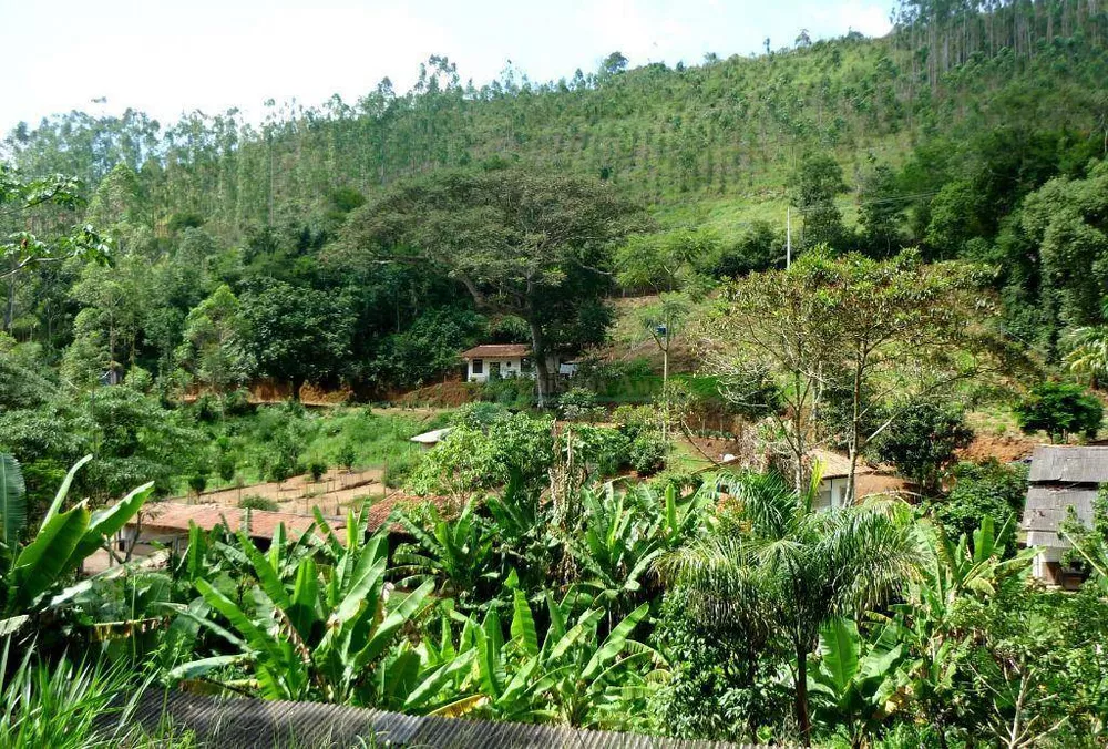 Sítio, 3 quartos, 21 hectares - Foto 20