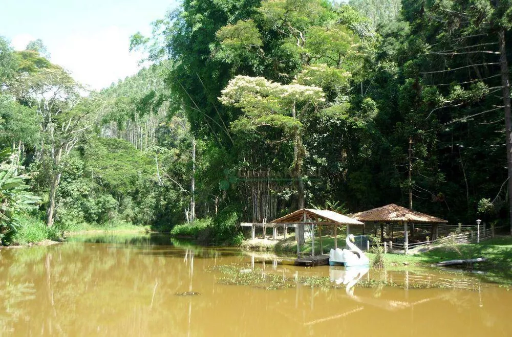 Sítio, 3 quartos, 21 hectares - Foto 16