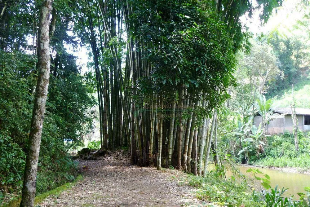 Sítio, 3 quartos, 21 hectares - Foto 64