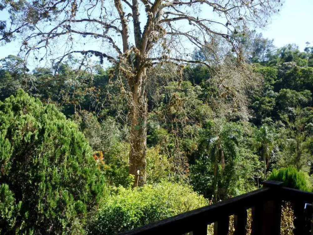 Casa, 4 quartos, 392 m² - Foto 49