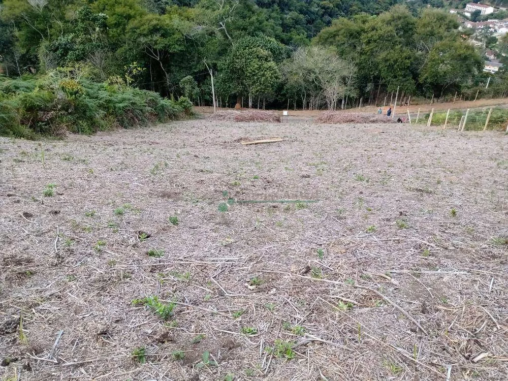 Loteamento e Condomínio, 1173 m² - Foto 4