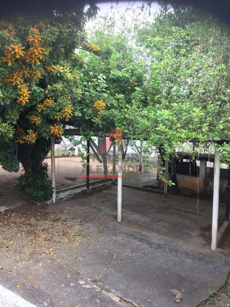 Depósito-Galpão-Armazém à venda, 1570m² - Foto 4